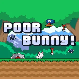 Poor Bunny